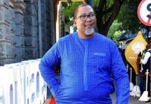 Israel releases South African humanitarians abducted delivering aid to Gaza