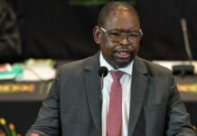 Treasury sets disciplinary hearing against GPAA CEO Kedibone Madiehe Disciplinary hearing set for Kedibone Madiehe