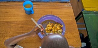 Gauteng school nutrition programme