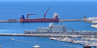 Sea Harvest's vessel sinks