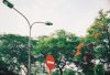 pexels-quang-viet-nguyen-17703413