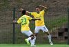 Ribeiro and Mendieta