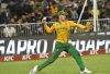 Dewald Brevis