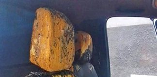 Councillor Kingsley Maribeng’s bakkie was also set alight