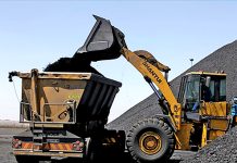Liberty Coal appoints LMS