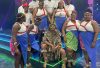 Team+KZN+AMABHUBESI