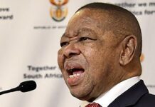Blade Nzimande outlines investment in science, technology as key to development Nzimande pushes for STI promotion