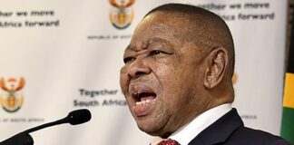 Blade Nzimande axes NSFAS board.