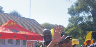 Fikile Mbalula votes