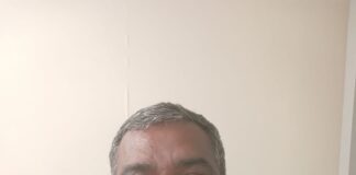Ponzi scheme arrest