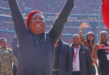 Inside EFF leader Julius Malema’s appeal to avoid jail
