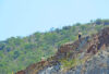 Lily Mine collapse