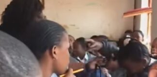 Teacher cuts pupil's braids