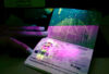 High-Tech Microchip Passports Make U.S. Debut