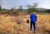 Land