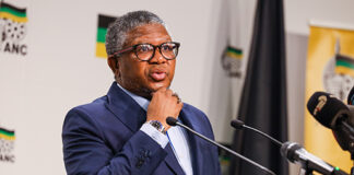 Fikile Mbalula