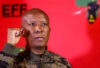 Julius Malema