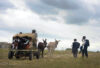 Village Children Travel to School by a Donkey Cart