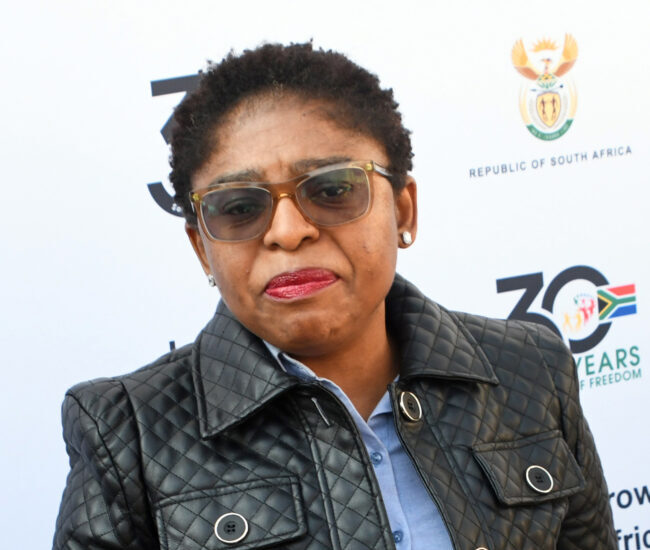 'Minister Ntshavheni’s coup claims irresponsible': Sisulu foundation