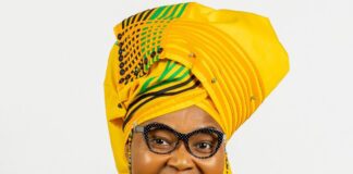 Charge Mapisa-Nqakula, says ANC chief whip Majodina