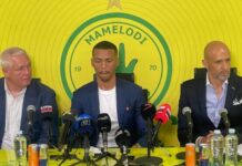 Sundowns appoint new coach