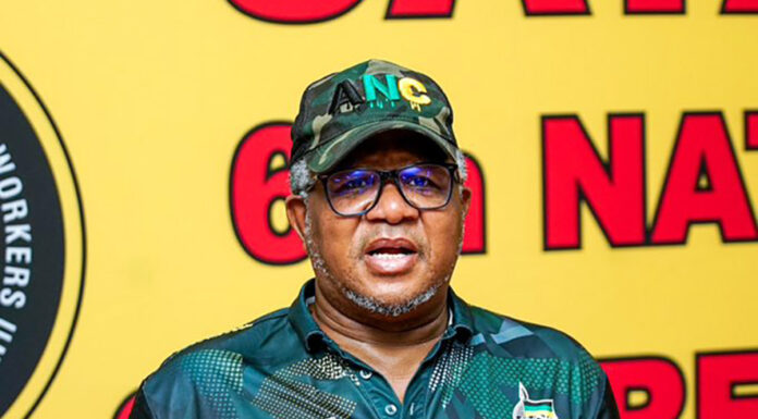 Fikile Mbalula yatch