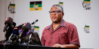 Fikile "Vutha" Mbalula