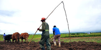 Put land reform top of the National Dialogue agenda