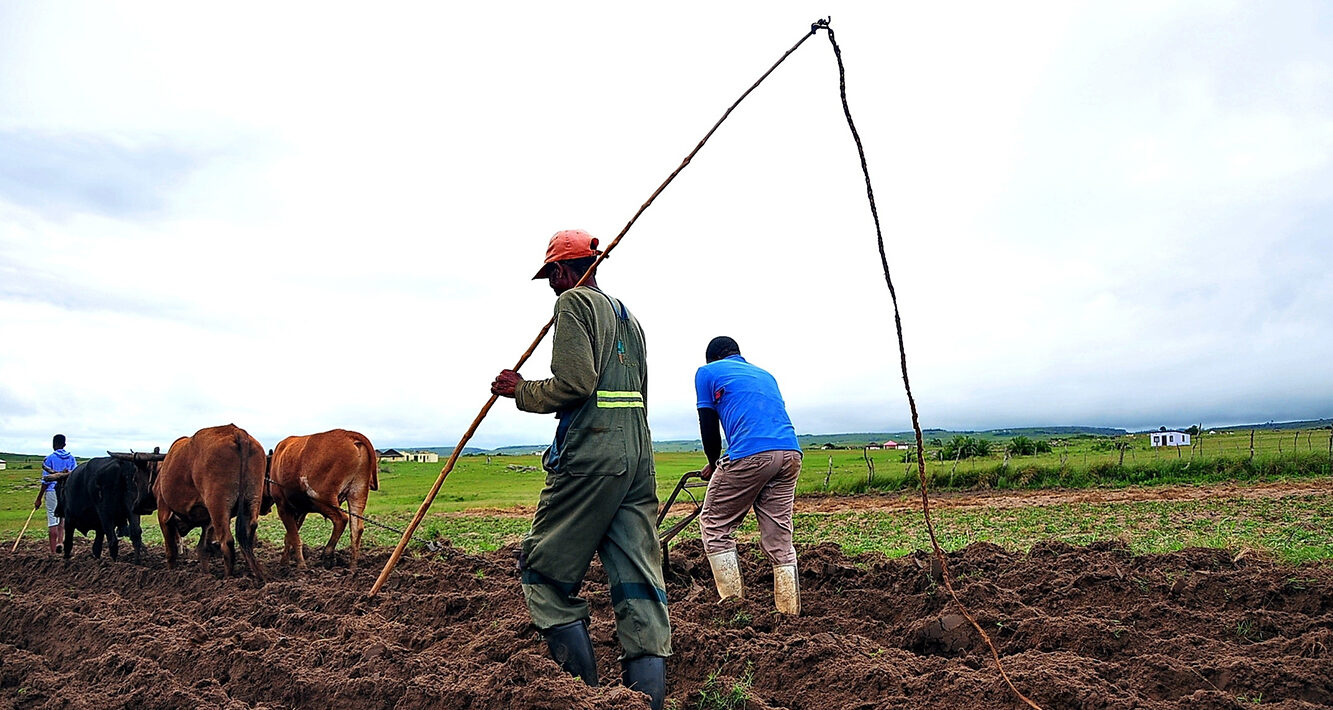 Put land reform top of the National Dialogue agenda
