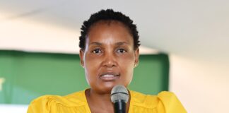 Minister Thembi Simelane hangs over house in Soweto.