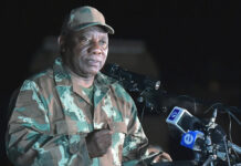 Toothpick winning war of military fatigues against Cupcake 