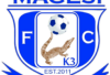 p18-Magesi logo
