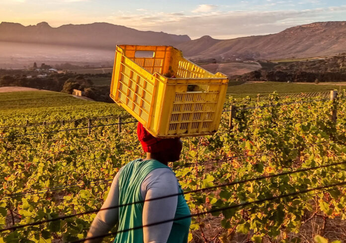 Corruption and land reform failures fuel hunger 