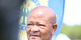 EFF turns up the heat on Police Minister Senzo Mchunu