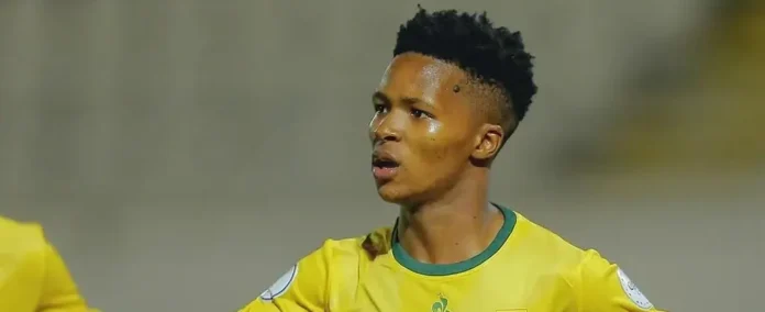 Amajimbos Afcon campaign