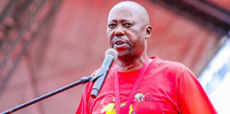 DA, ANC to block EFF bid to probe R2.8bn SEZ CEO appointment