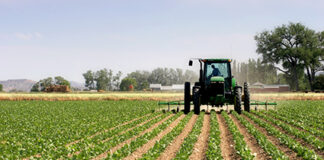 Mpumalanga agriculture department bleeds millions