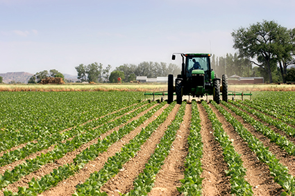 Mpumalanga agriculture department bleeds millions