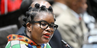 DA lays charges against minister Hlengiwe Nkabane