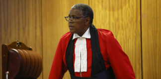 Senzo Meyiwa murder trial continues