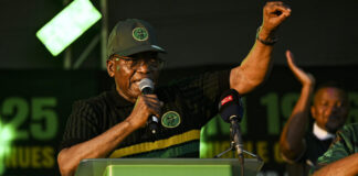 BRICS formed as rebellion against dollar empire, says Zuma