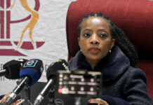 Public protector flags petrol card abuse, clears Presidency in quarterly report