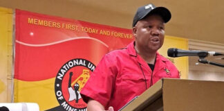 NUM: Chinese classify themselves as SA firms 