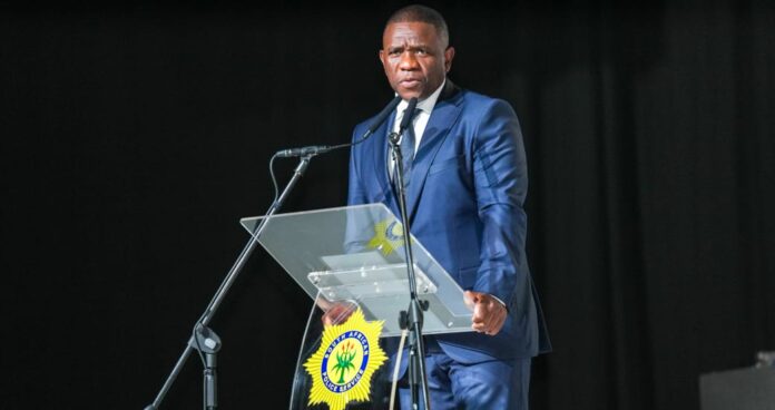 Police portfolio chair calls for probe into Mkhwanazi's claims