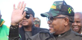 Mbalula mum on David Mabuza’s personal views on GNU, partners