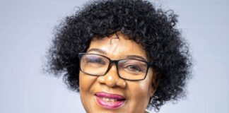ActionSA quizzes Mandla Ndlovu’s motives after axing two MECs