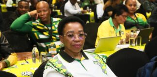 Fire destroys Nomusa Dube-Ncube's home