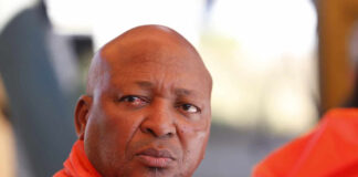 Kunene loses coart battle against Malema