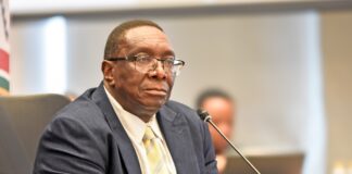 Mlambo's appointment gets the green light