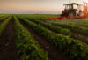 Agriculture Land Hazyview, Photo X